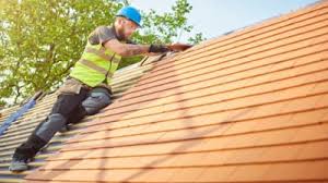 Best Metal Roofing Installation  in Edgerton, MN